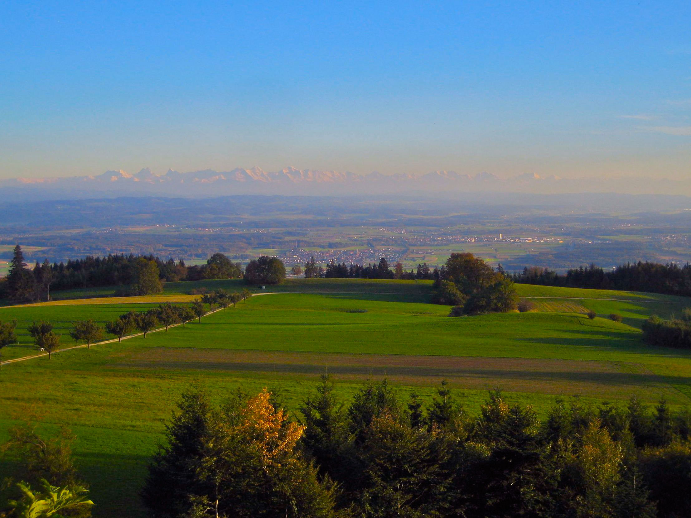 Attiswil: Blick auf Reckenacker (Reckenacher), das Mittelland und die Berner Alpen