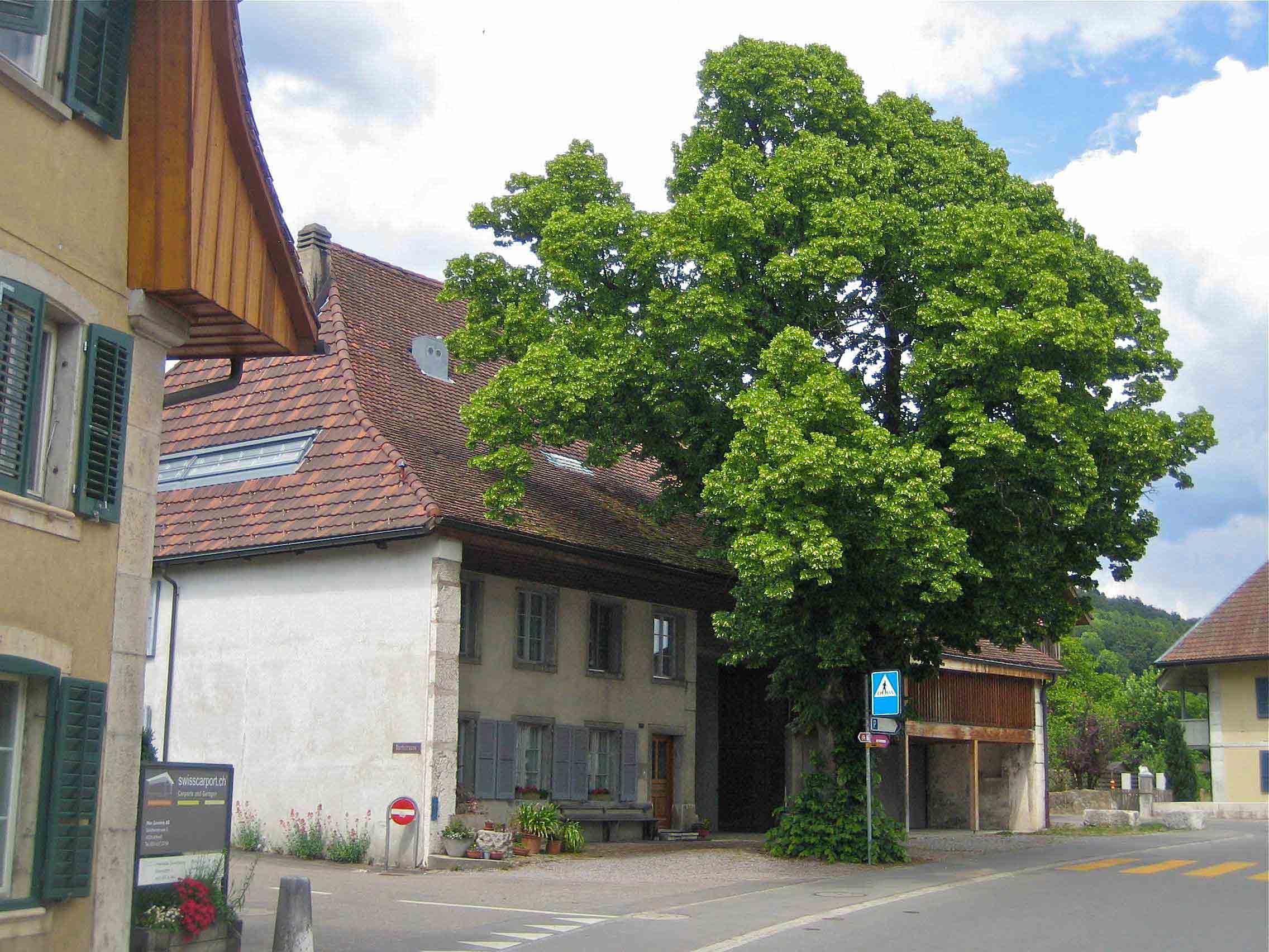 Haus Zurlinden mit Linde