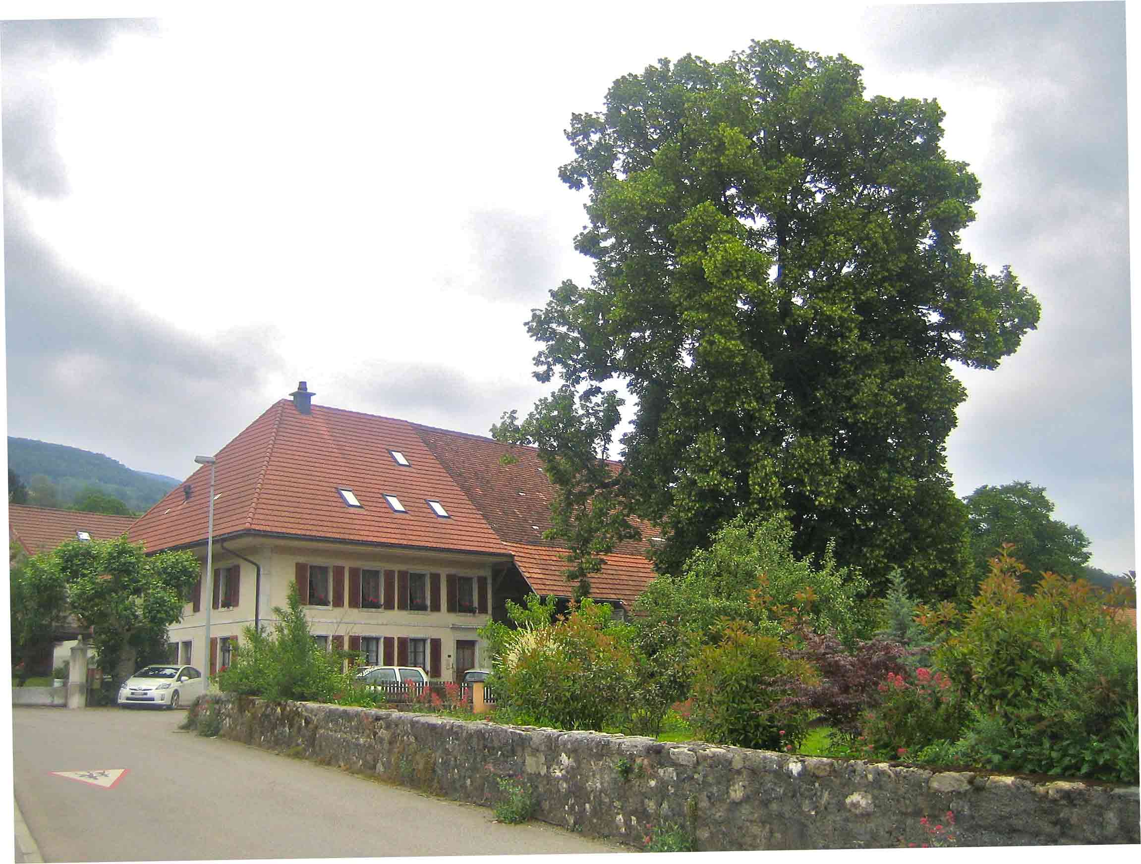 Haus Meyer: Bauernhaus Mitte 19. Jh.