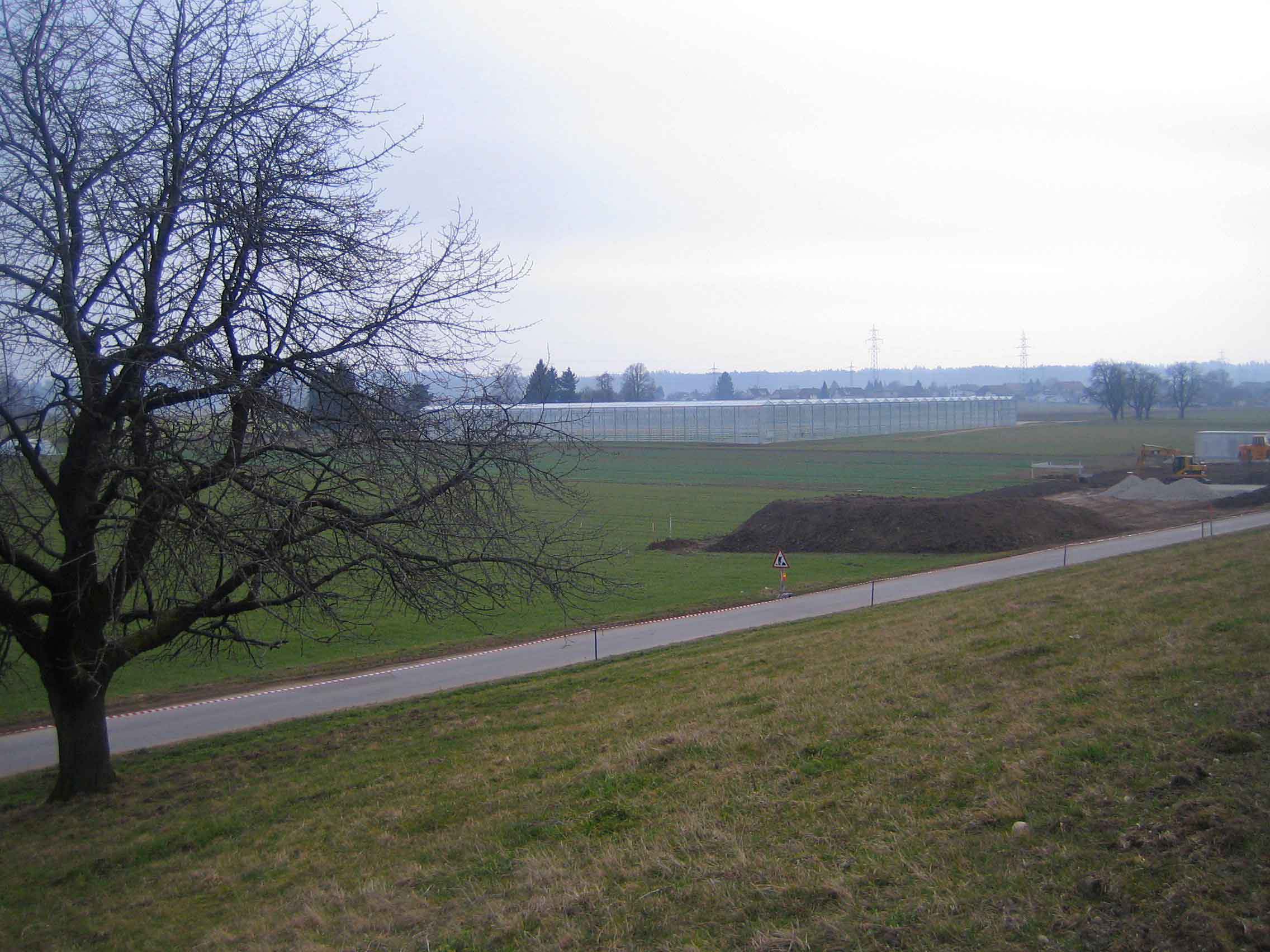 Im Westen der Stockmatt zieht die Bösiger AG bald Gemüse unter Glas - immerhin ist der Gemüsebau noch auf den Boden bezogen. 