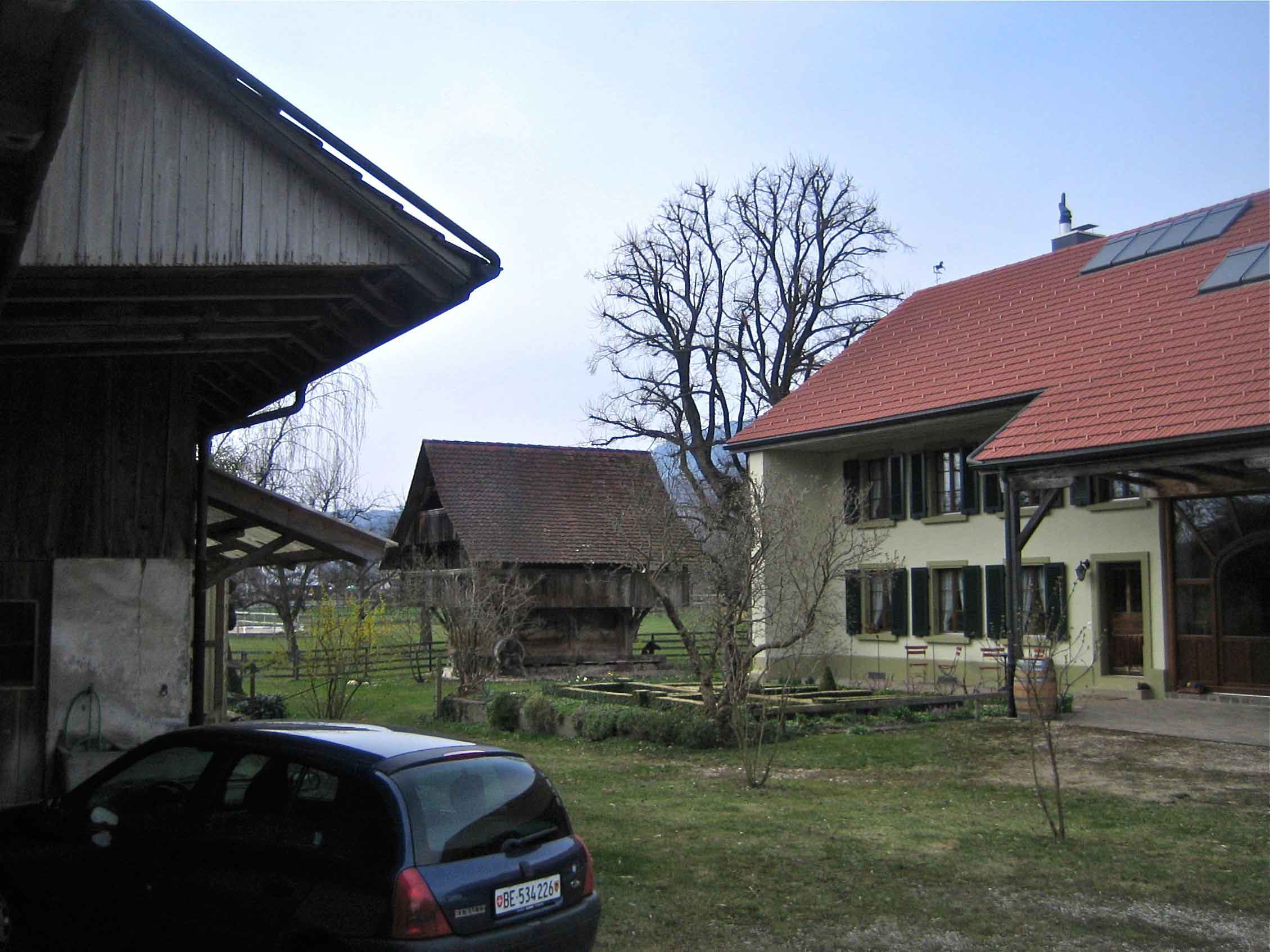 Niederbipp, Gestüt - Niederbipp, Stud Farm