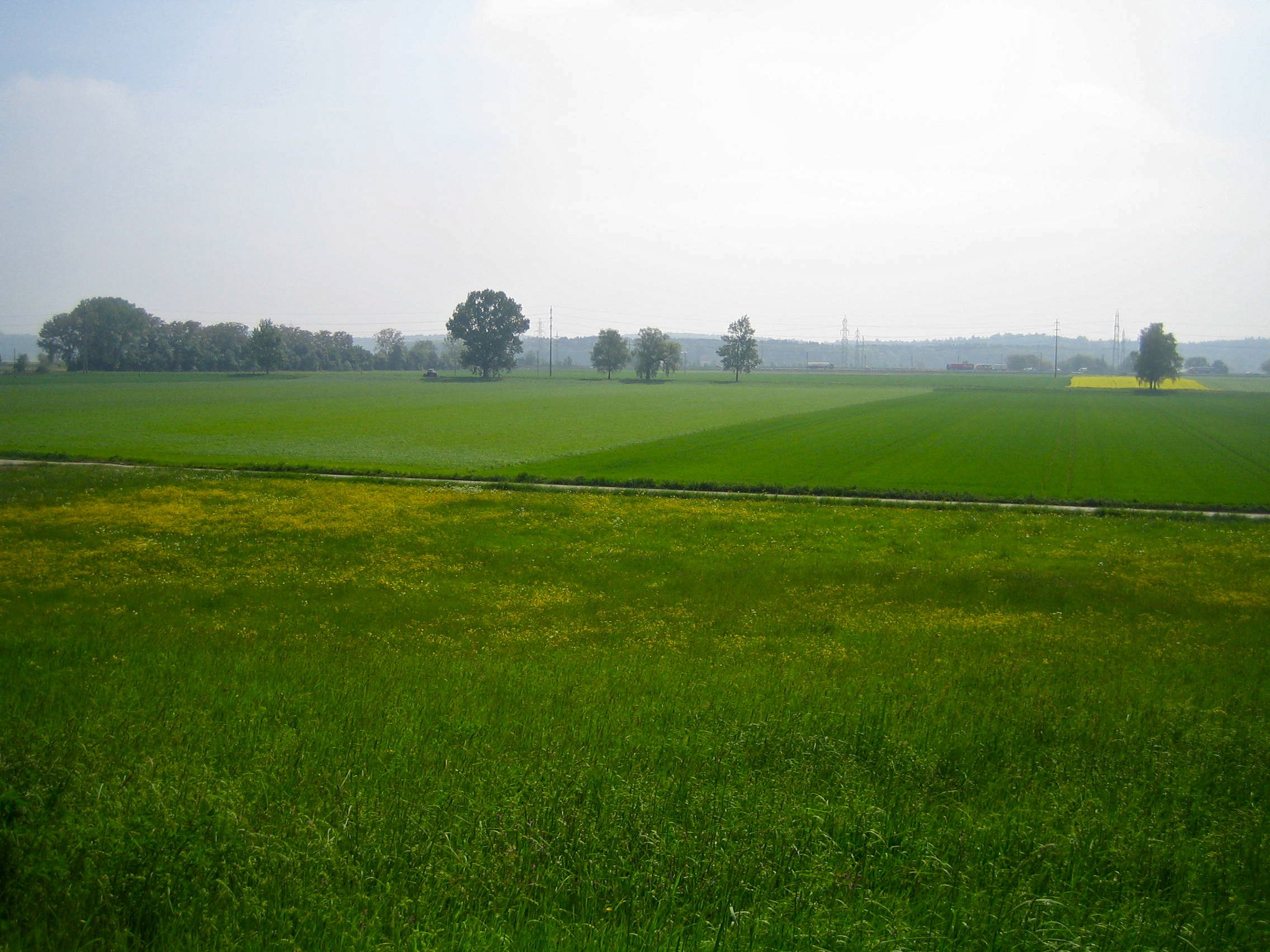 STOCKMATT, NIEDERBIPP (Frühling)