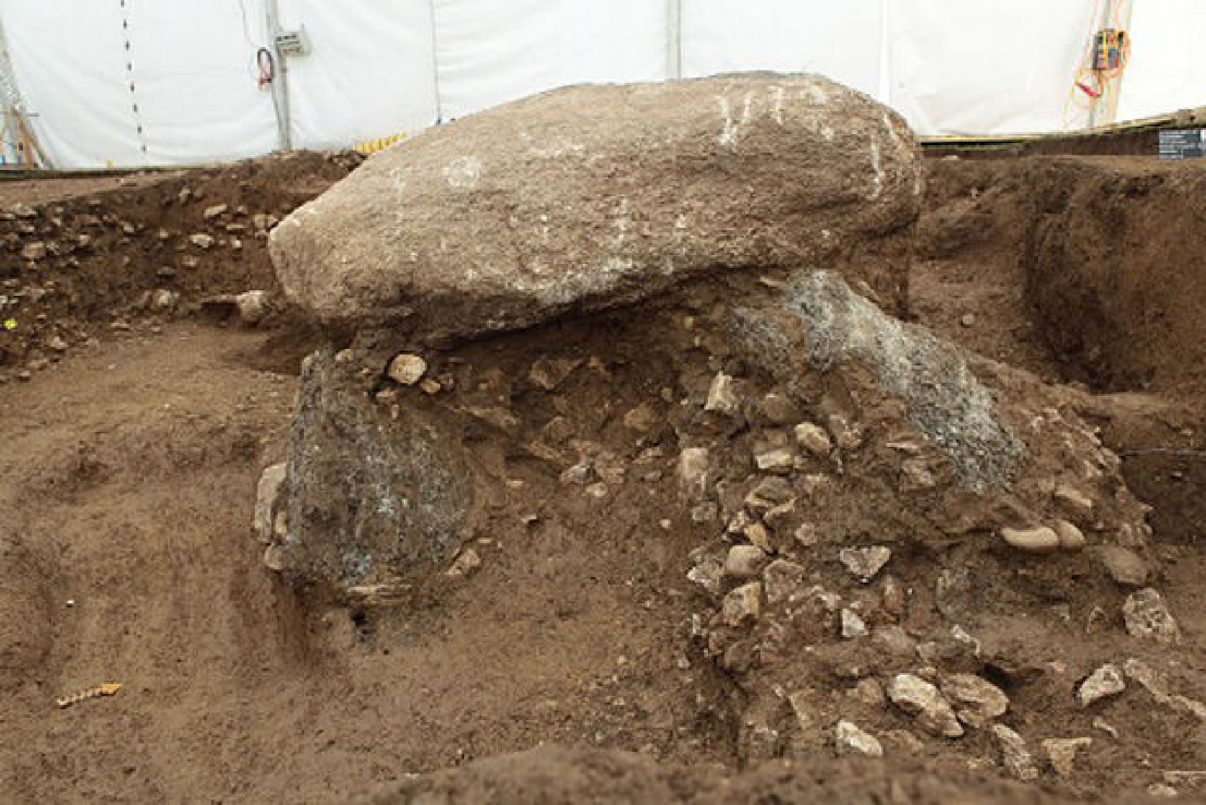 Die Deckplatte des steinzeitlichen Dolmens in Oberbipp. 