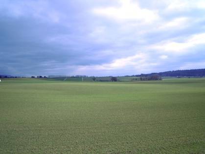 Blick über das Niderfeld zum Erlimoos: Hier will Wiedlisbach Arbeitszonen schaffen.  fotos: joh