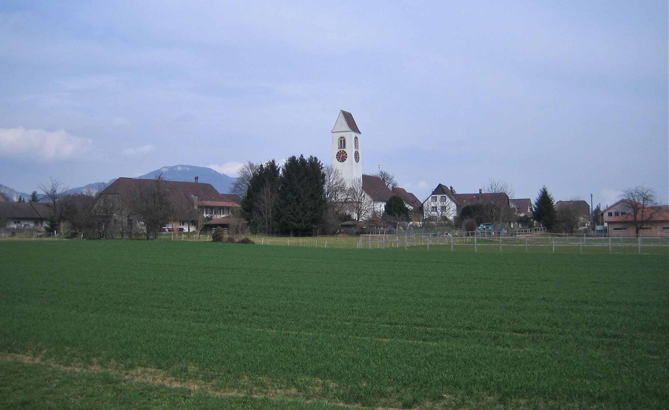 Niederbipp: Blick von Grod auf Kirche und Buchsern, im Hintergrund der Roggen.