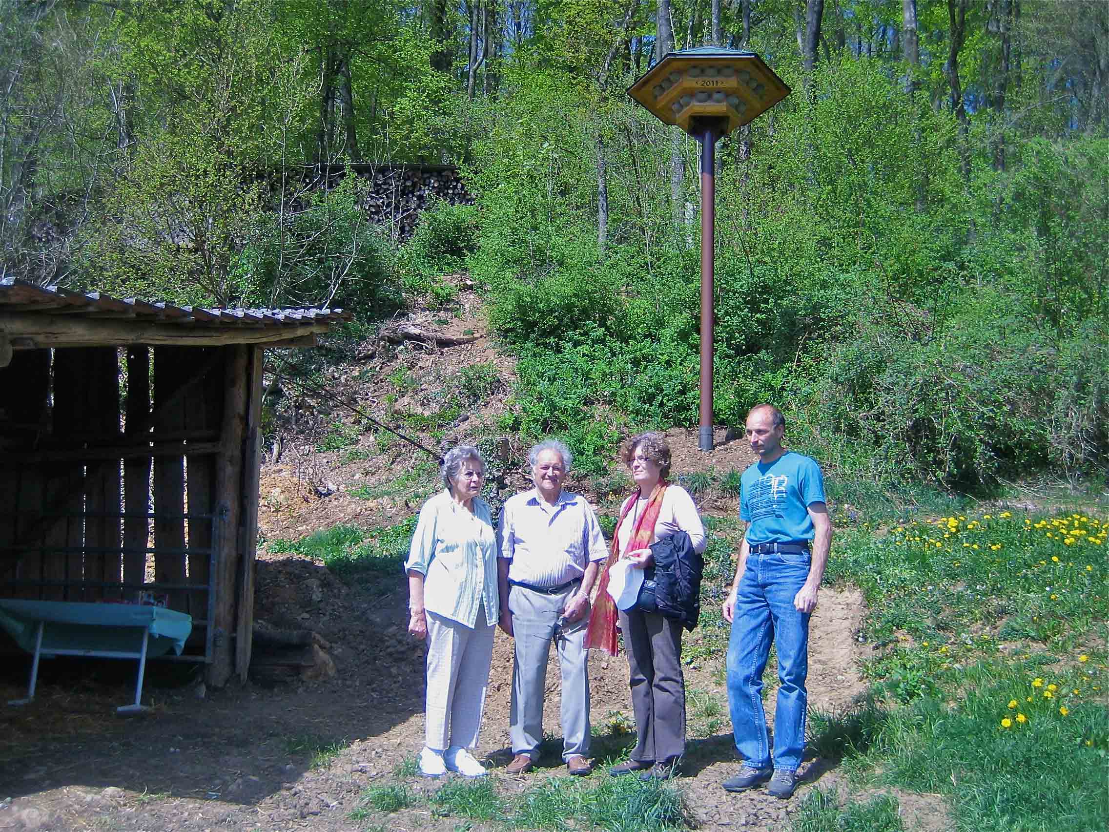 Mehlschwalbenturm in der Hinteren Ruetzelen, Niederbipp