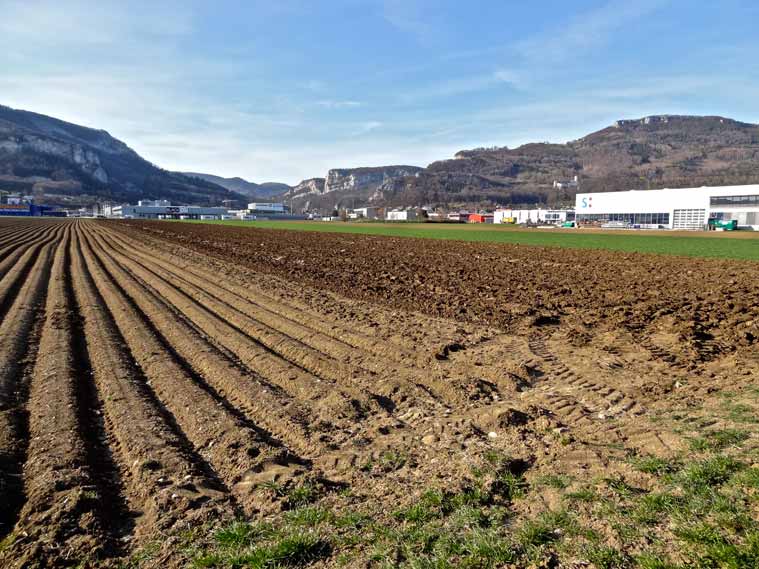Holinden gegen Norden