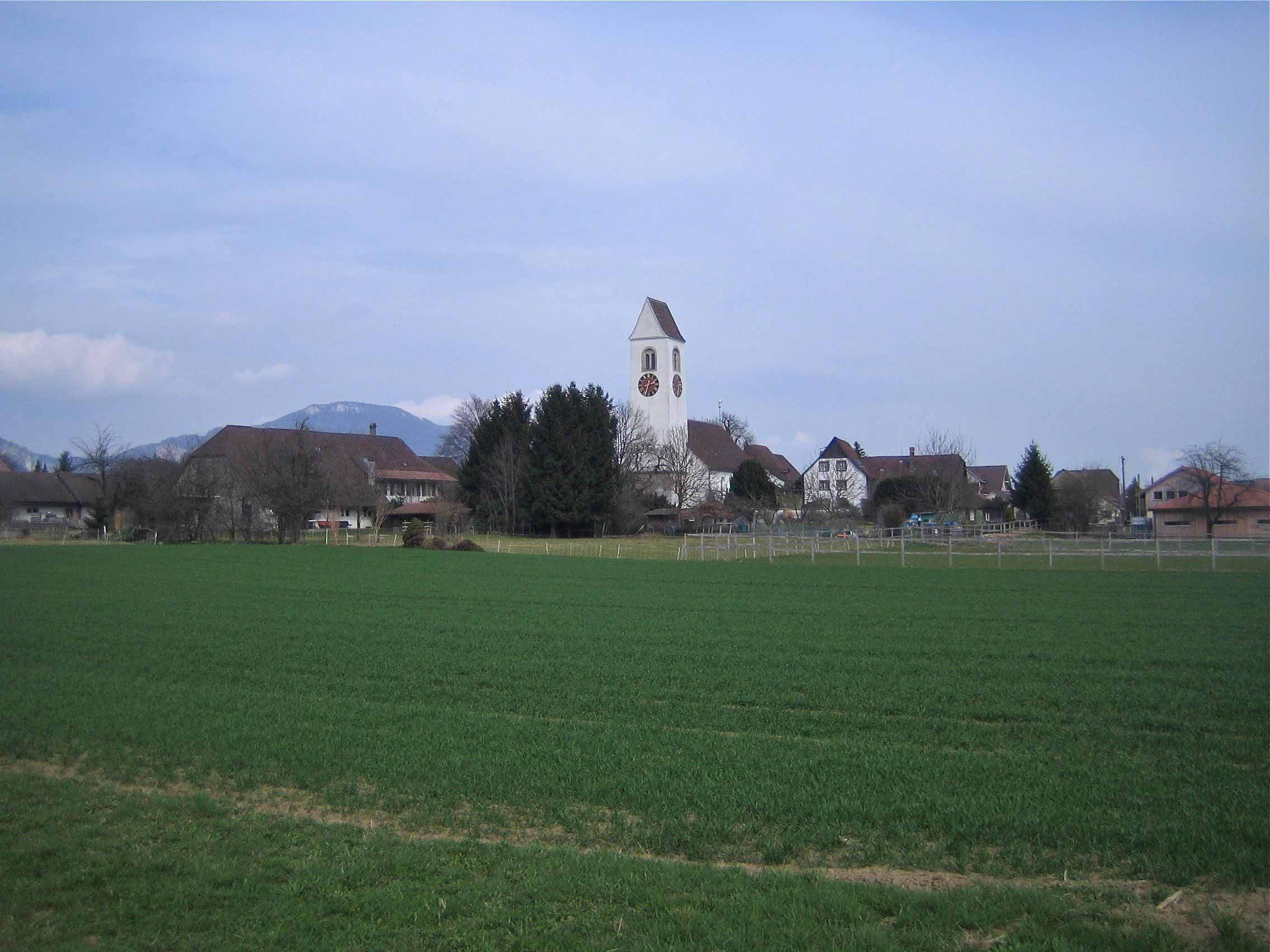 Niederbipp, Blick vom Grod auf die Kirche. Im Hintergrund der Roggen. 