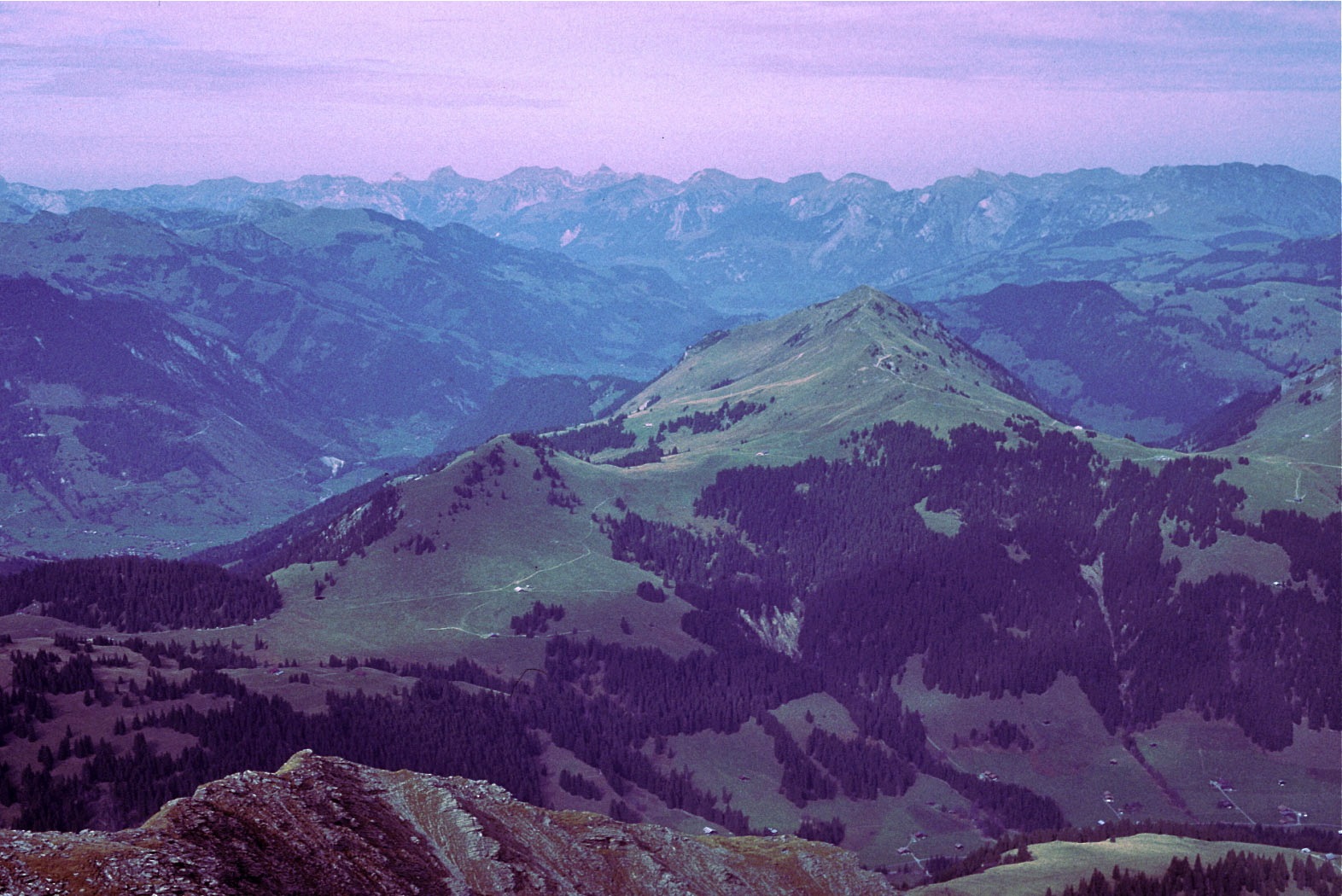 Das Saanenland. Blick vom Giferhorn gegen Norden